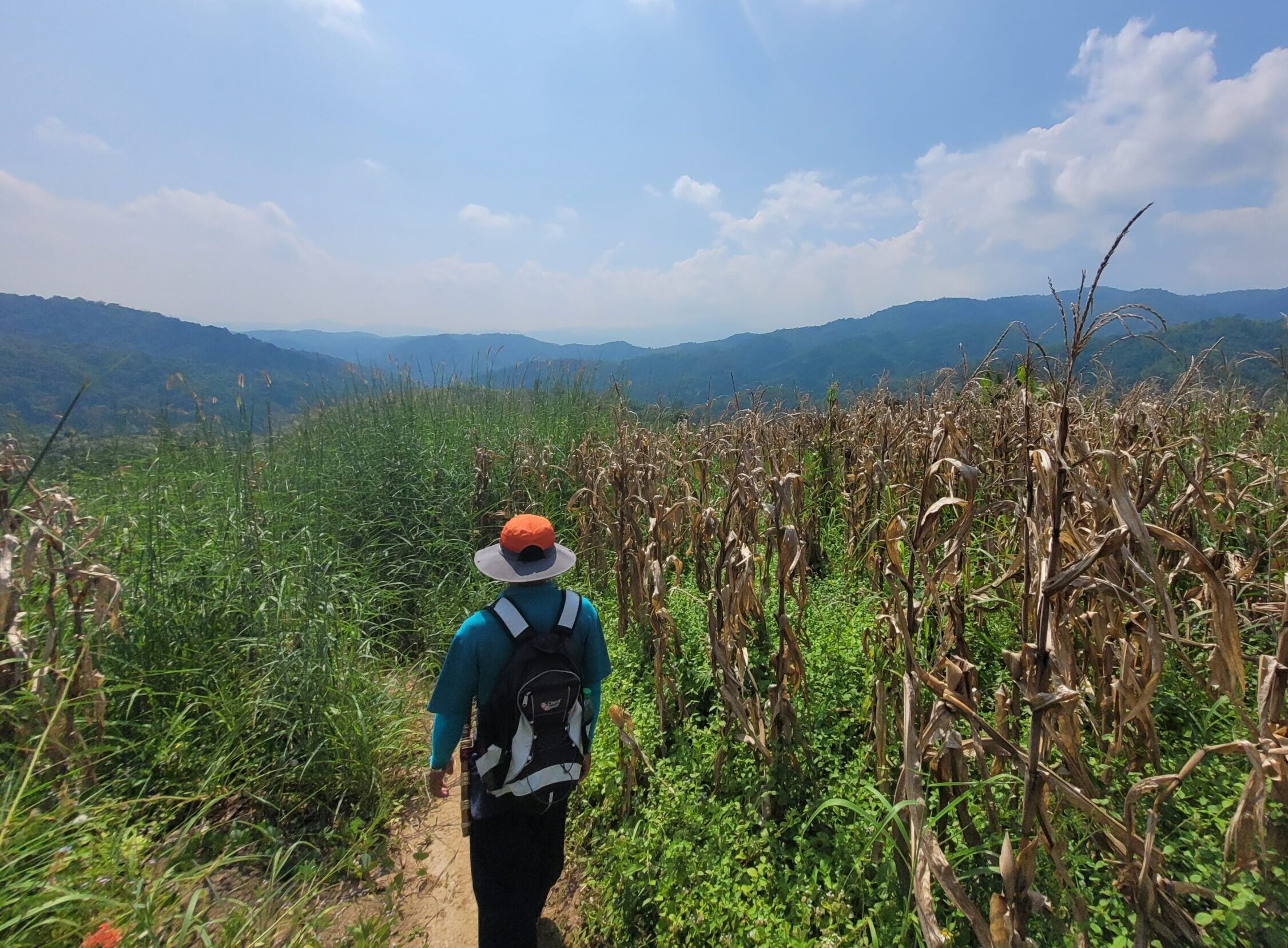 trekking
