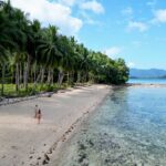 Coco beach port barton