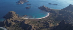 komodo